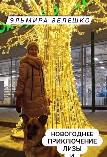 Новогоднее приключение Лизы litnet.com