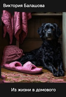 Из жизни в домового litnet.com