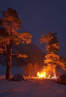 Костер litnet.com
