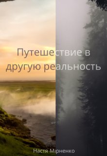 Путешествие в другую реальность litnet.com