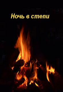 Ночь в степи litnet.com