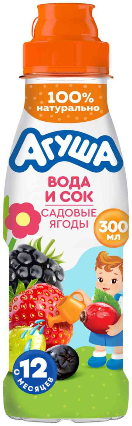 Вода и сок детский Агуша садовые ягоды с 12 месяцев