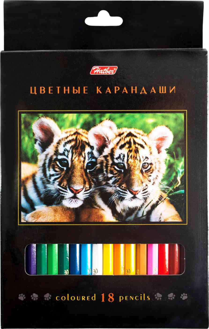Карандаши цветные трёхгранные Hatber Дикий мир