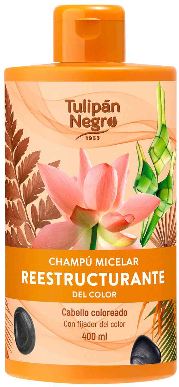 Шампунь для окрашенных волос Tulipan Negro Reestructurante