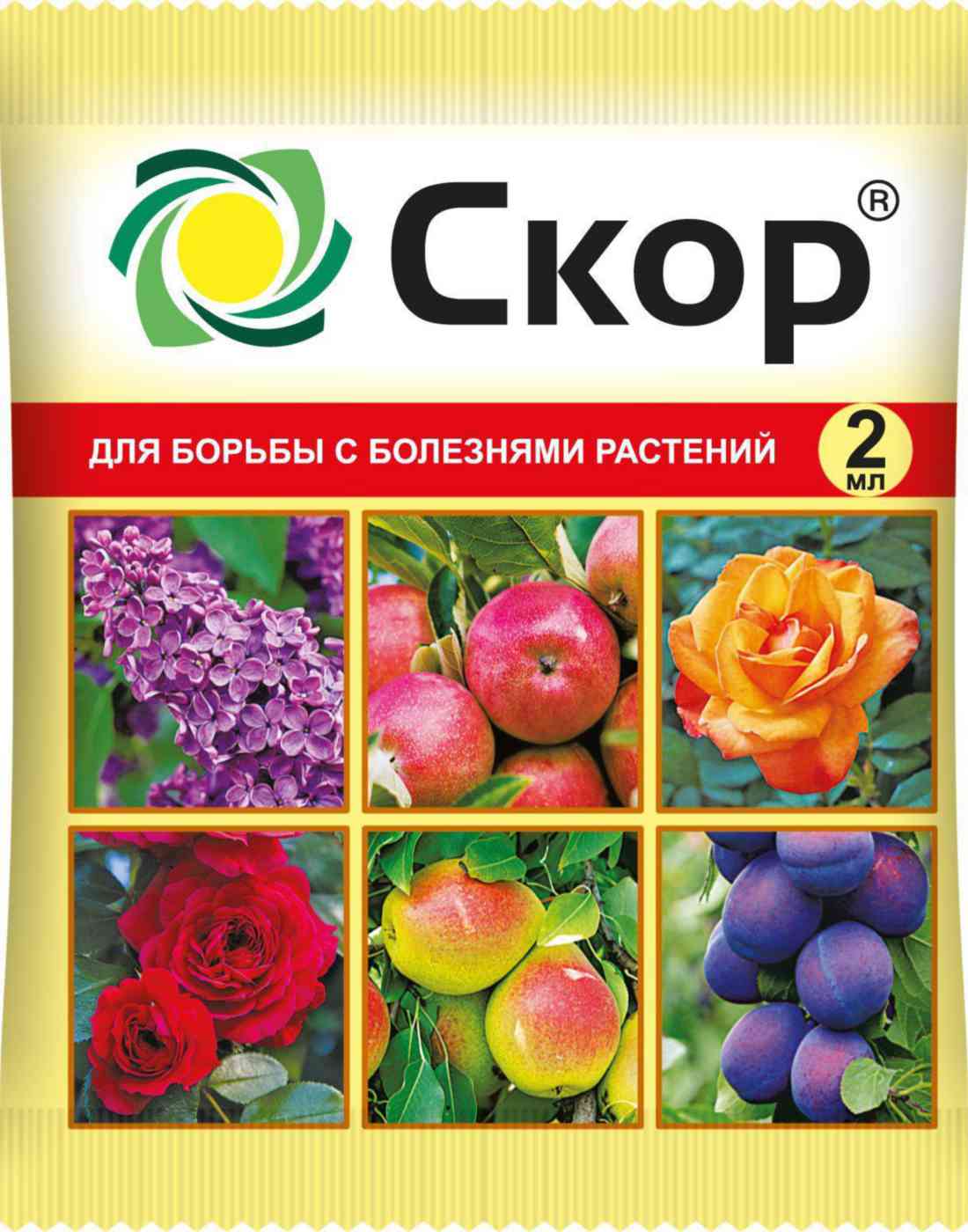 Фунгицид Ваше Хозяйство Скор