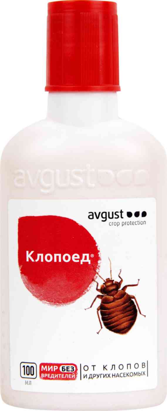 Инсектицид Avgust Клопоед