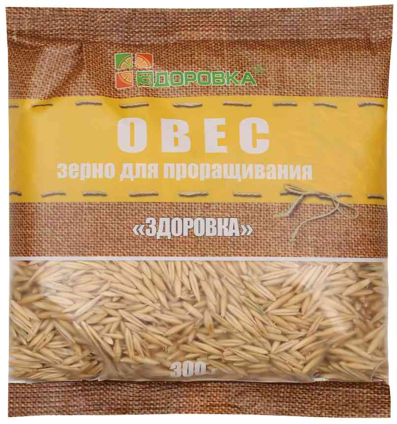 Овес для проращивания Здоровка