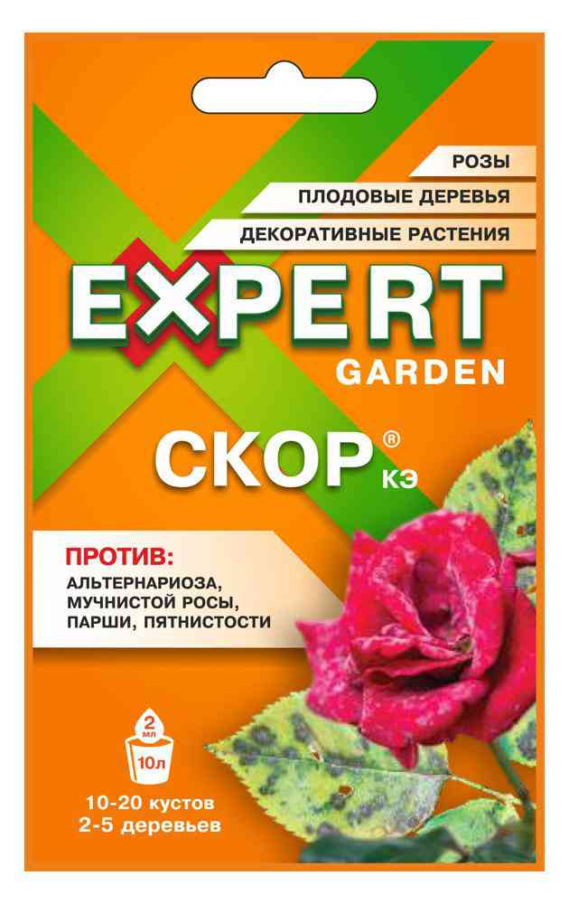 Фунгицид Expert Скор
