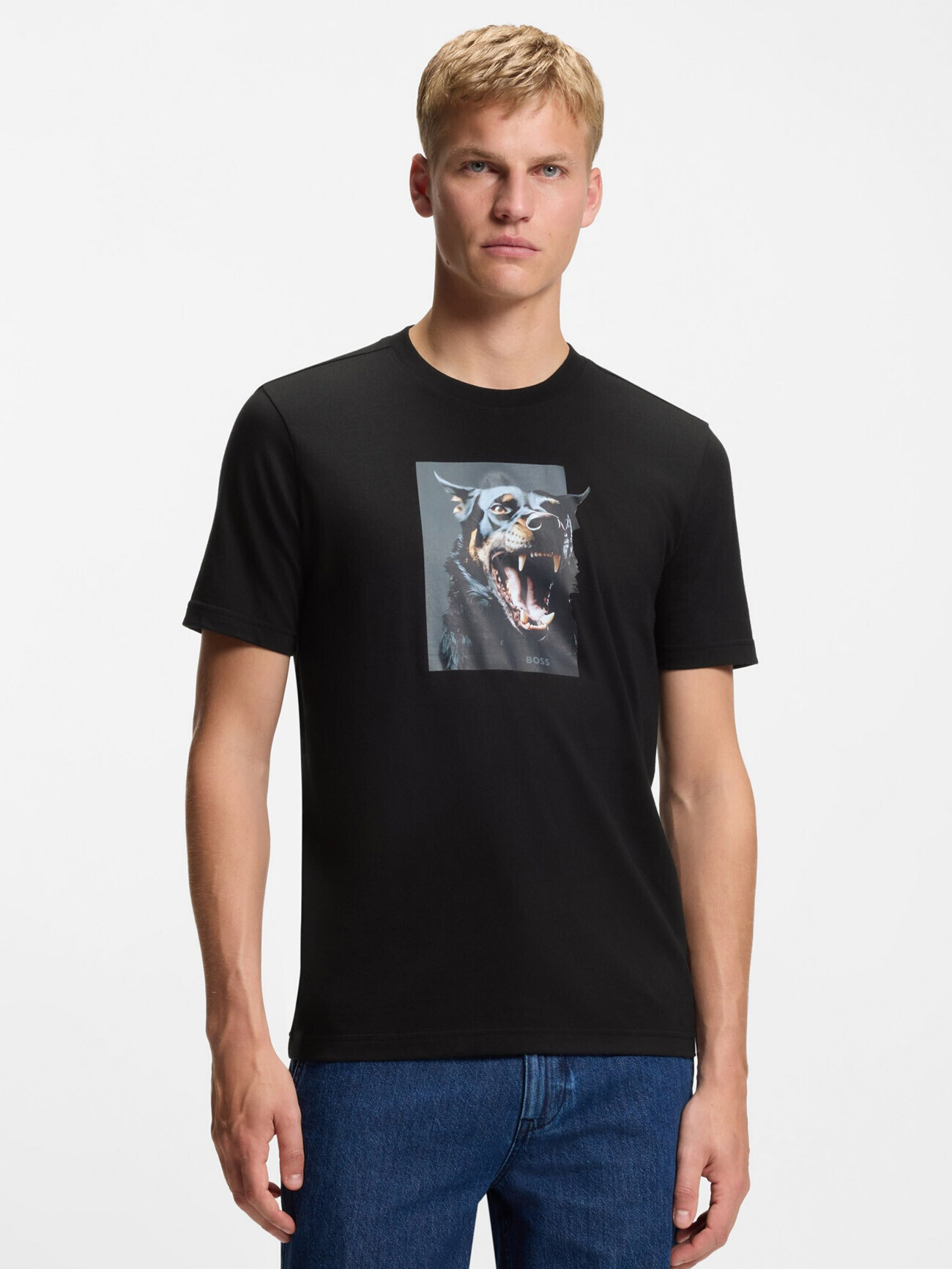 Футболка мужская Te_Dobermann BOSS 50558965