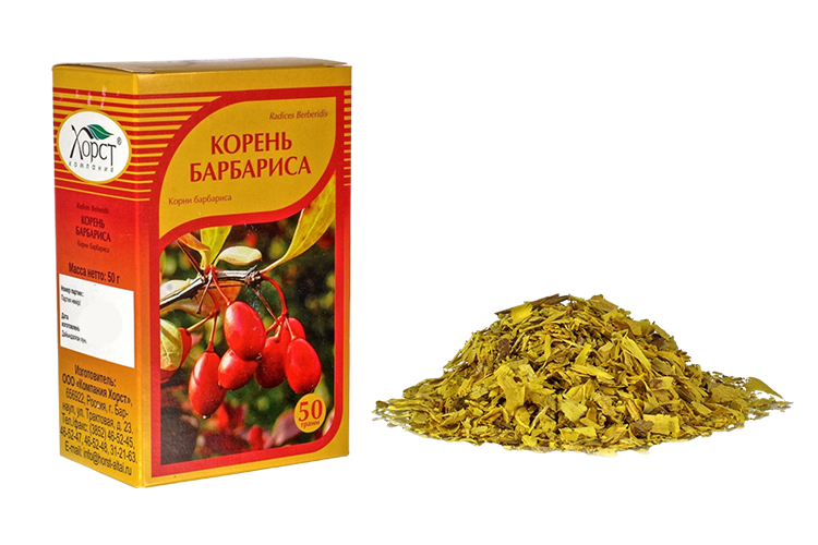 Барбариса обыкновенного корень, 50 г Хорст компания ООО