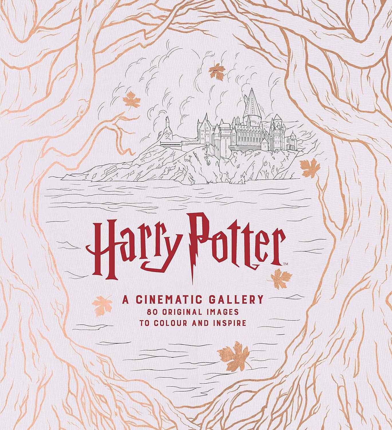 Harry Potter a Cinematic Gallery (JM Dragunas) Гарри Поттер Киногаллерея (Дж М Драгунас)/ Книги на английском языке Читай-город