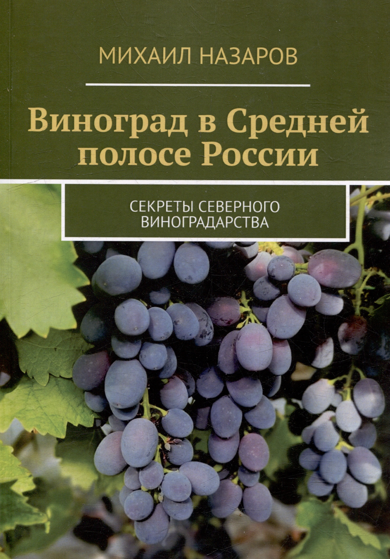 Виноград в Средней полосе России. Секреты северного виноградарства Читай-город