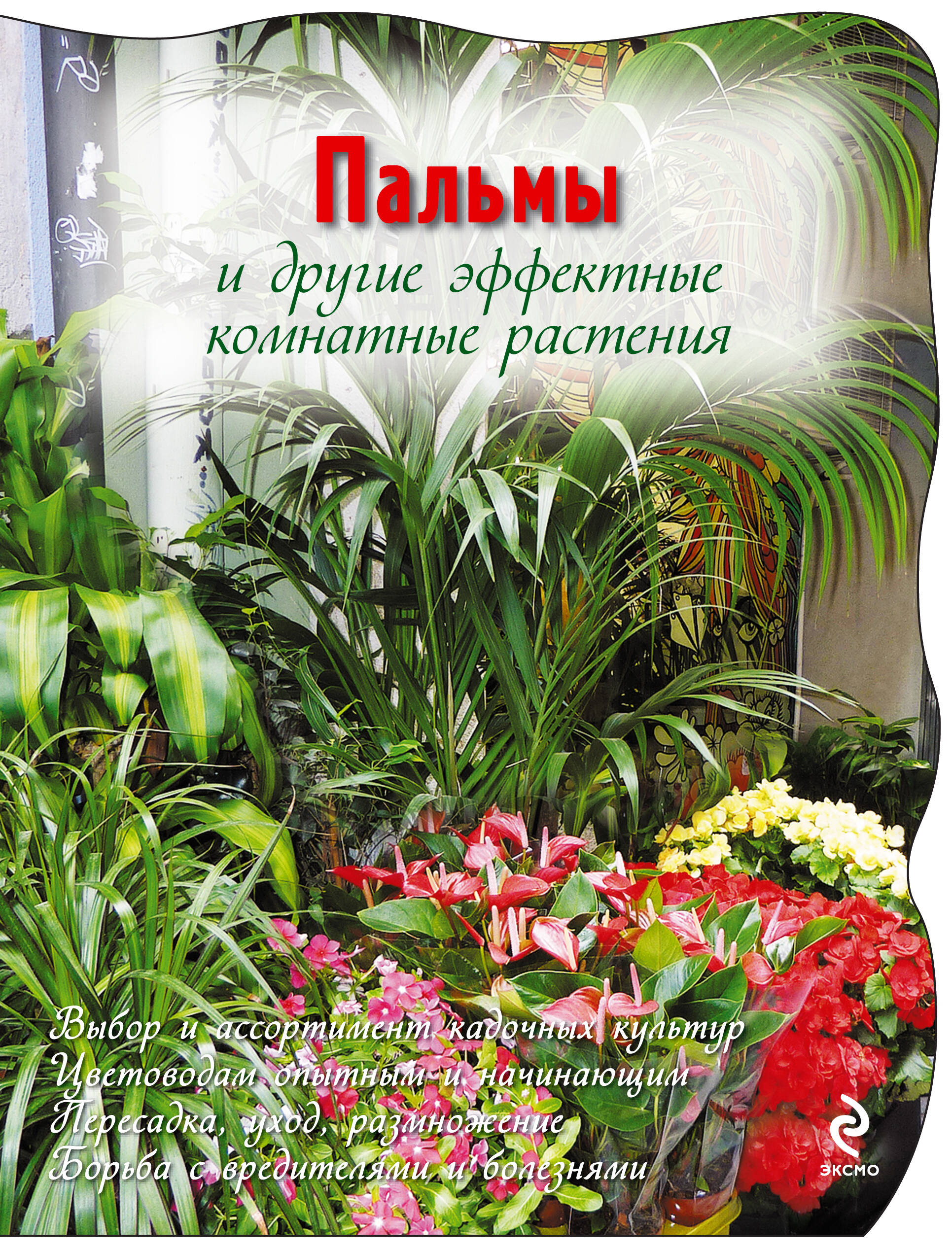 Пальмы и другие эффектные комнатные растения. Читай-город