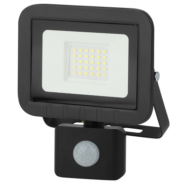 Прожектор уличный светодиодный IP65 ЭРА LPR-041-2-65K-030