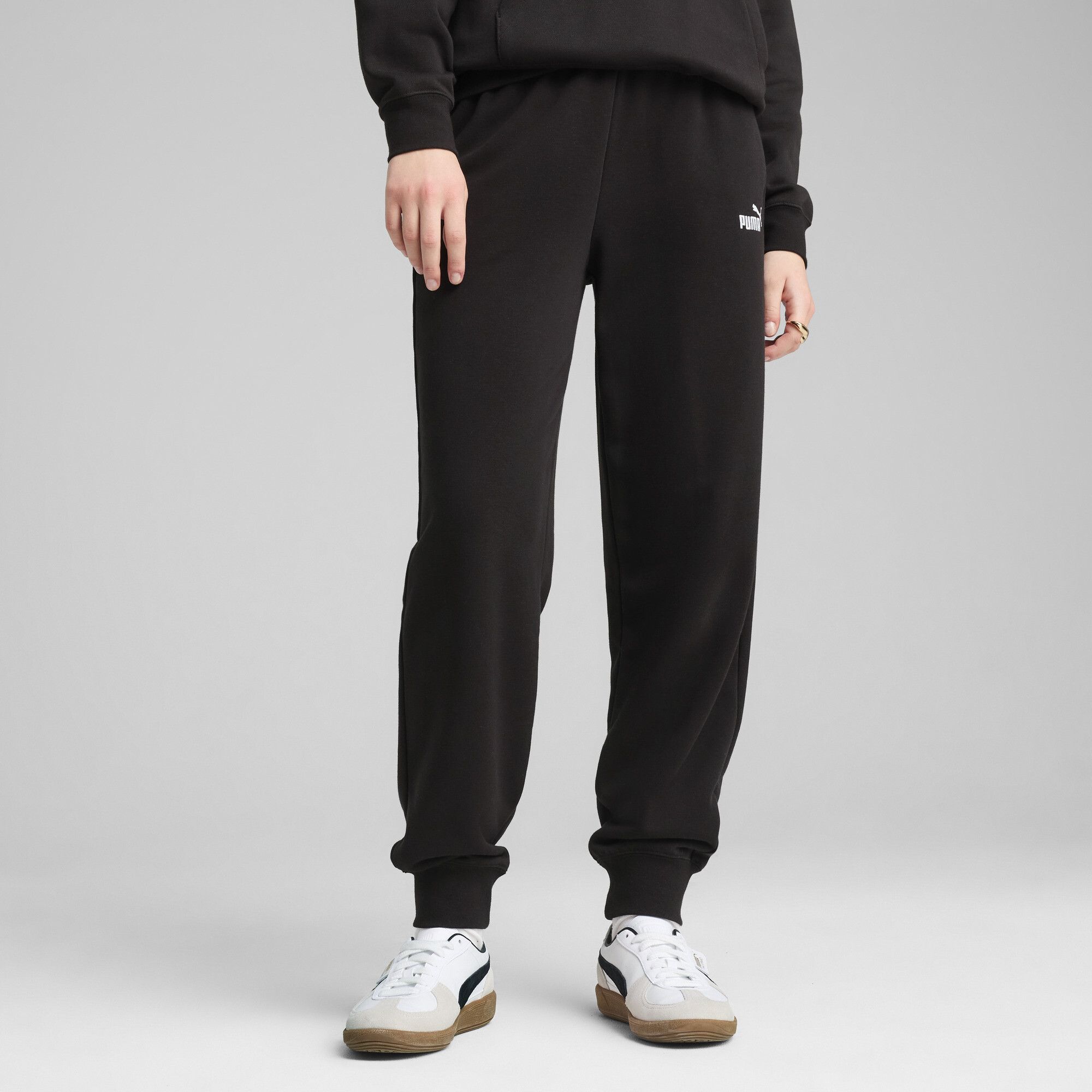Женские брюки PUMA ESS No. 1 Logo Sweatpants 68245801-XXS