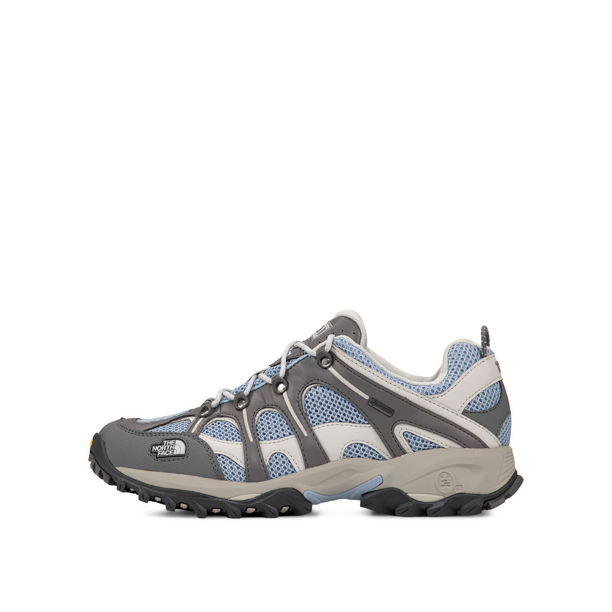 Кроссовки Hedgehog 06 Gore-Tex The North Face NF0A8ADXMIP1-5