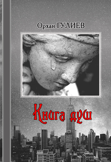 Книга душ. litnet.com