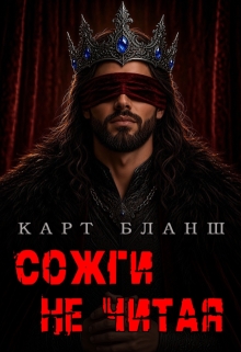 Сожги не читая litnet.com