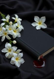 Абажур litnet.com