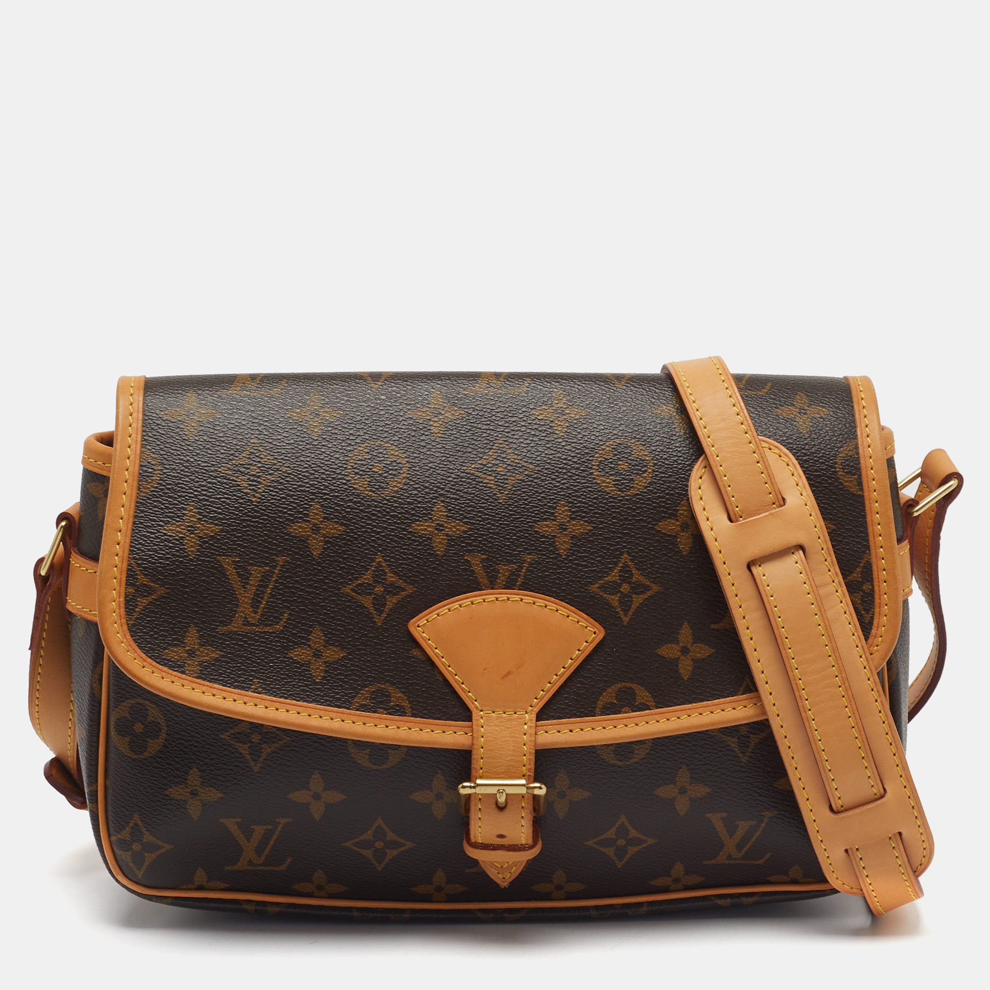 Louis Vuitton Sologne Monogram Canvas and Leather Crossbody Bag