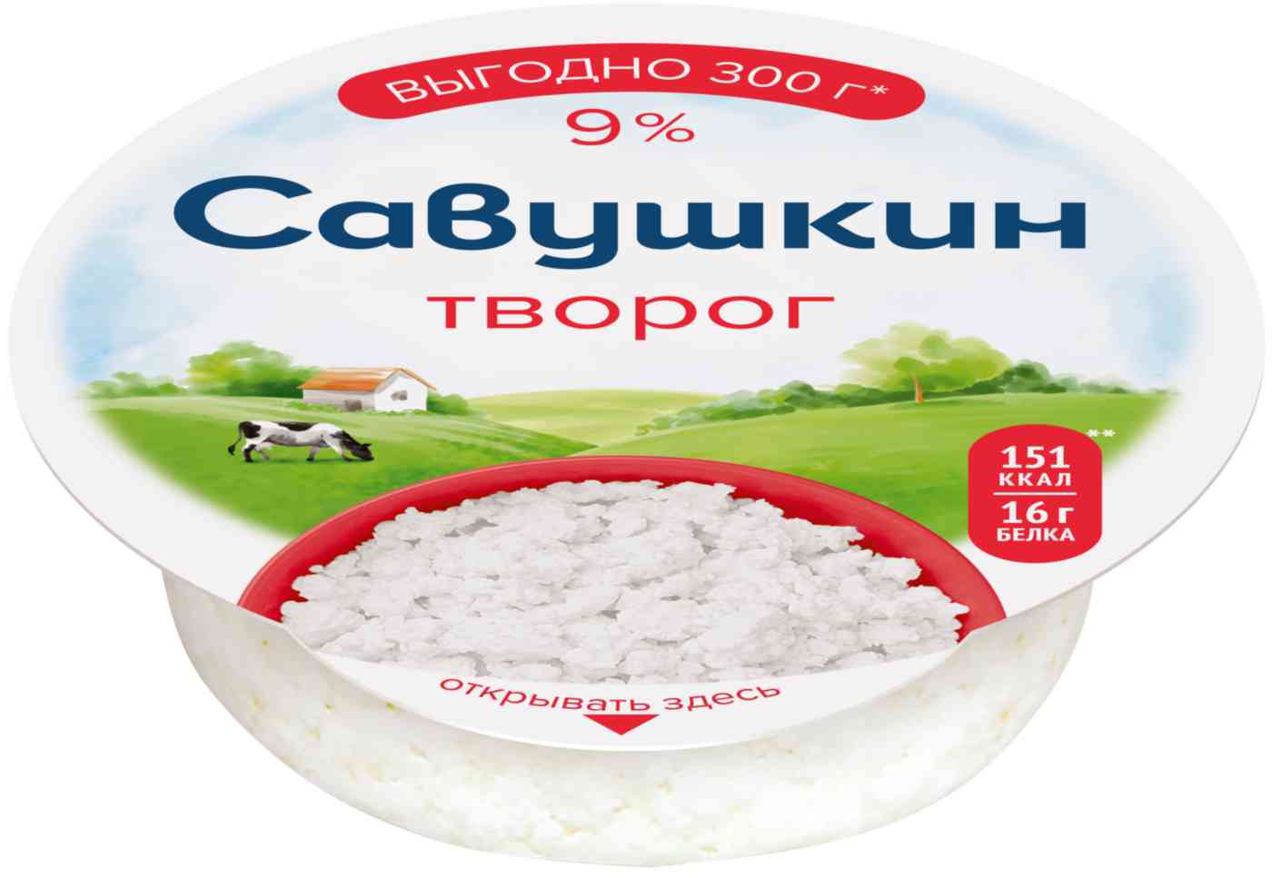 Творог классический Савушкин Хуторок 9%
