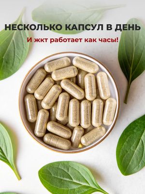 VeganNova Псиллиум (шелуха семян подорожника индийского), 120 капсул Аптеки Плюс