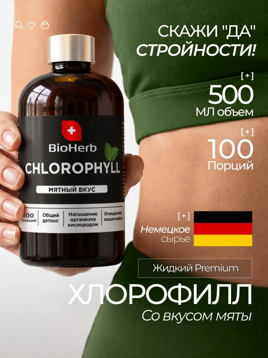 BH Хлорофилл 500мл 100порц Аптеки Плюс