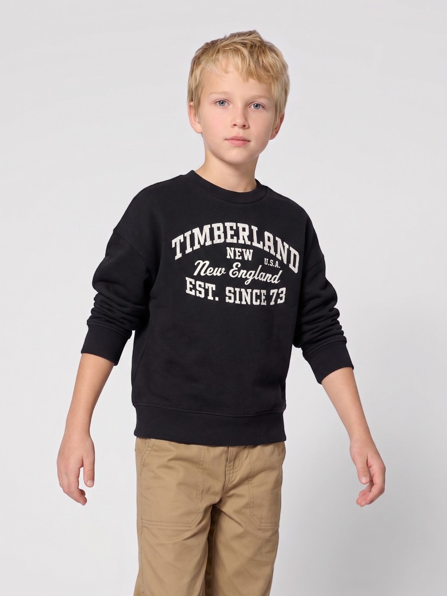 Толстовка Timberland T61063/849