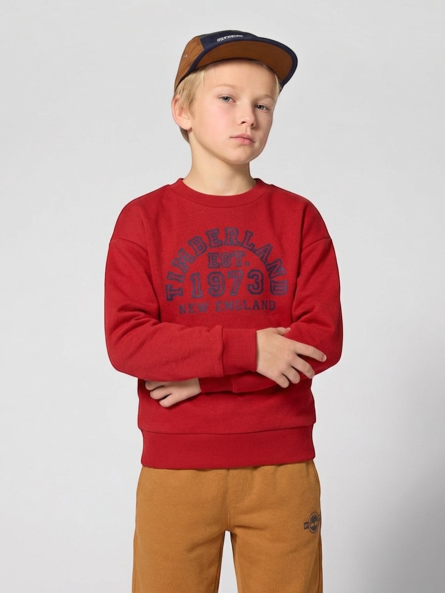 Толстовка Timberland T61062/974