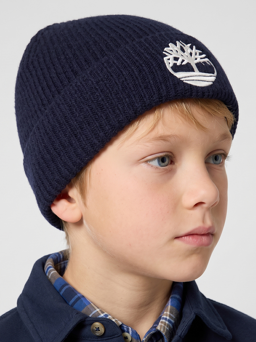 Шапка Timberland T61097/849