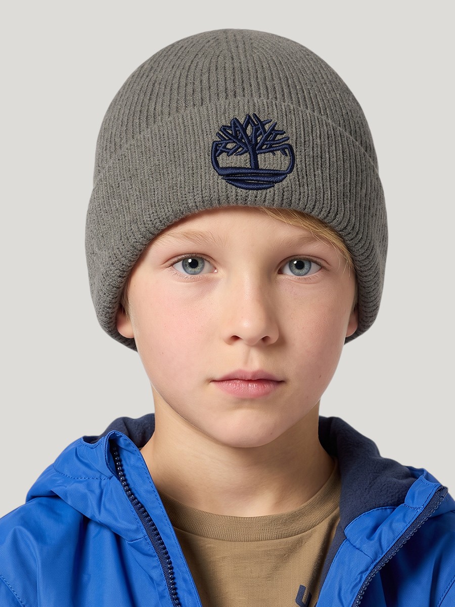 Шапка Timberland T61097/730