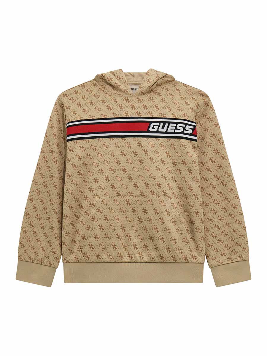 Худи Guess L5RQ24FL04QP13W